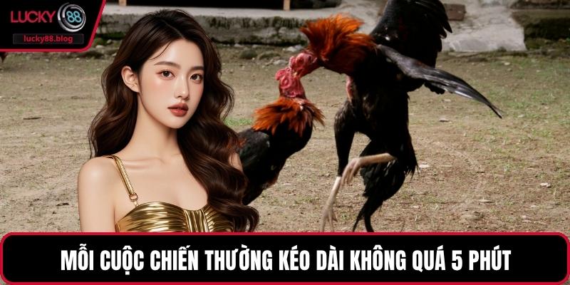 Mỗi cuộc chiến thường kéo dài không quá 5 phút